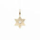 14k Solid Gold VVS/VS1 Diamond 3D Star of David Pendant - 60026