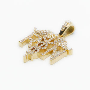 10k Solid Gold VS1 Diamond Registered Nurse Pendant - 60235